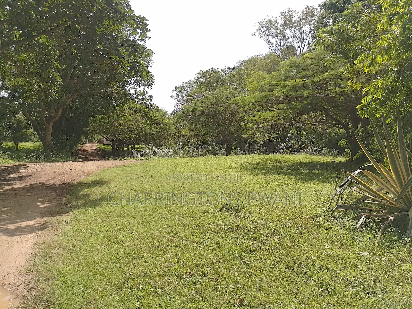 2.25 Acre Sandy Beachfront | Active Business Leases | Galu Diani