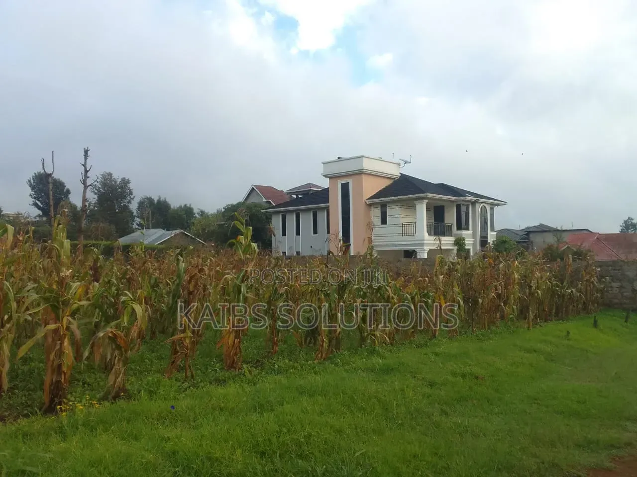 Plot for Sale at Kathpat Estate 50 by 100 6m