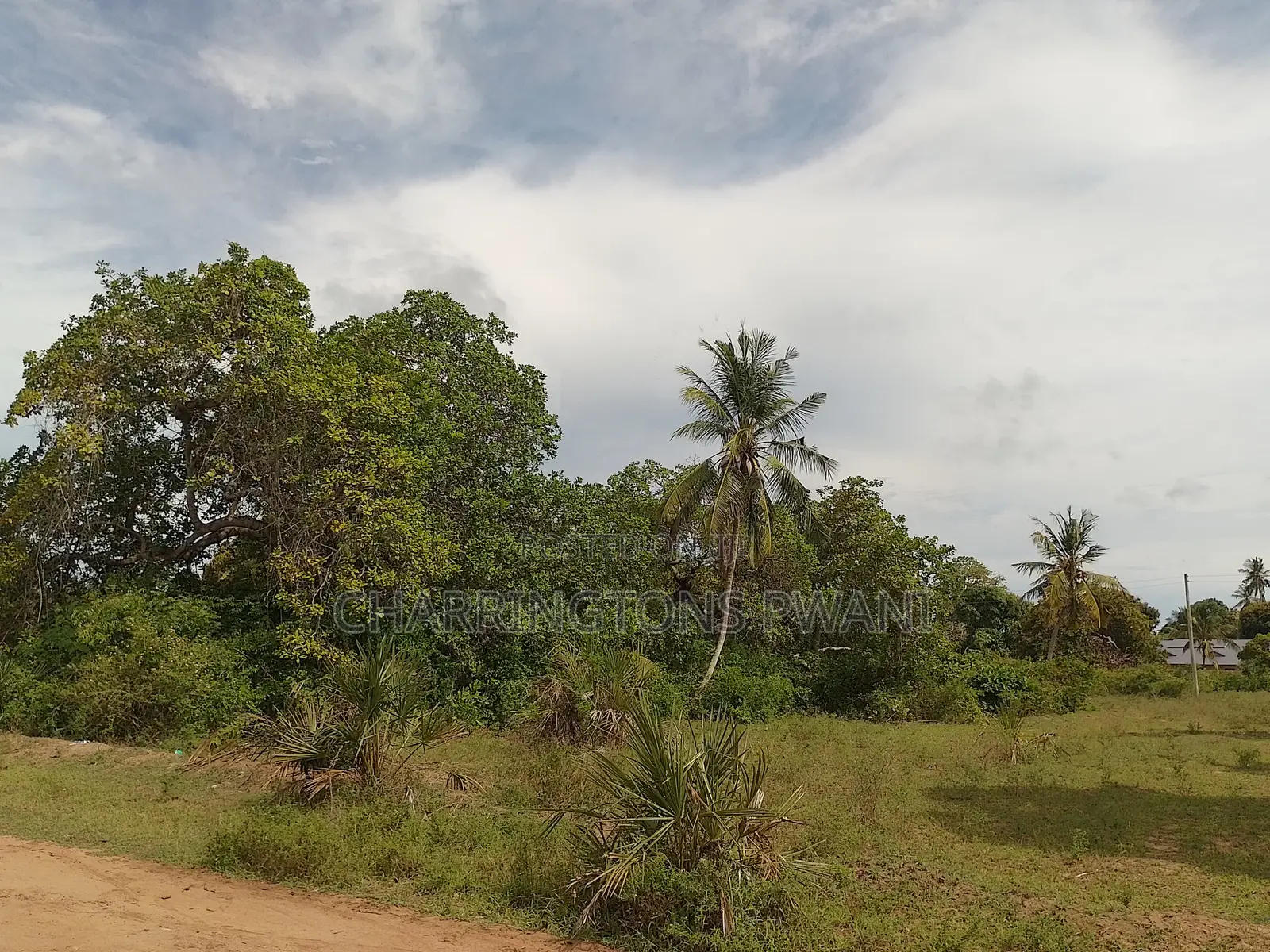 5 Acre Corner Plot| Borehole | Power| Highway Frontage | Tiwi-Kombani