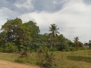 5 Acre Corner Plot| Borehole | Power| Highway Frontage | Tiwi-Kombani