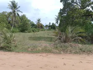 5 Acre Corner Plot| Borehole | Power| Highway Frontage | Tiwi-Kombani