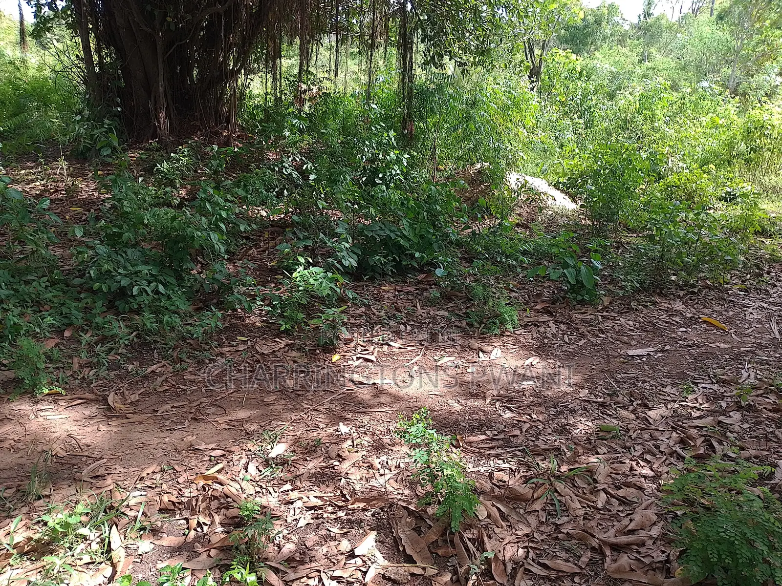 5 Acre Corner Plot| Borehole | Power| Highway Frontage | Tiwi-Kombani