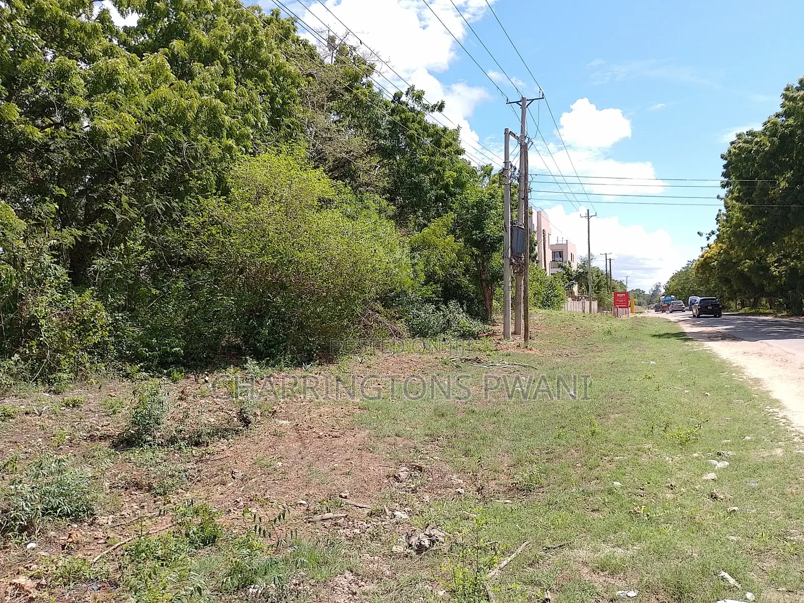 4 Acres | 2nd Row Diani Beach Road | Forest Cover | Hospitality Ideal
