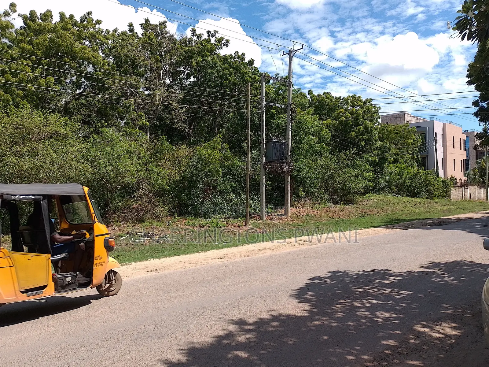 4 Acres | 2nd Row Diani Beach Road | Forest Cover | Hospitality Ideal
