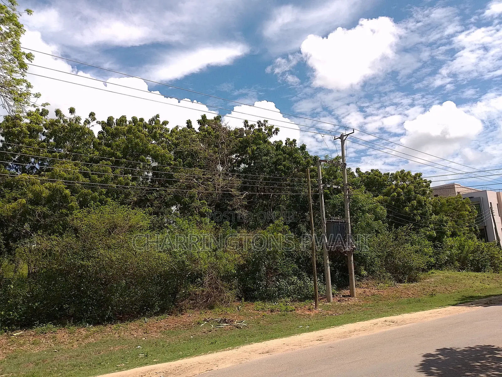 4 Acres | 2nd Row Diani Beach Road | Forest Cover | Hospitality Ideal