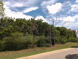4 Acres | 2nd Row Diani Beach Road | Forest Cover | Hospitality Ideal