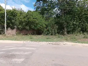 4 Acres | 2nd Row Diani Beach Road | Forest Cover | Hospitality Ideal