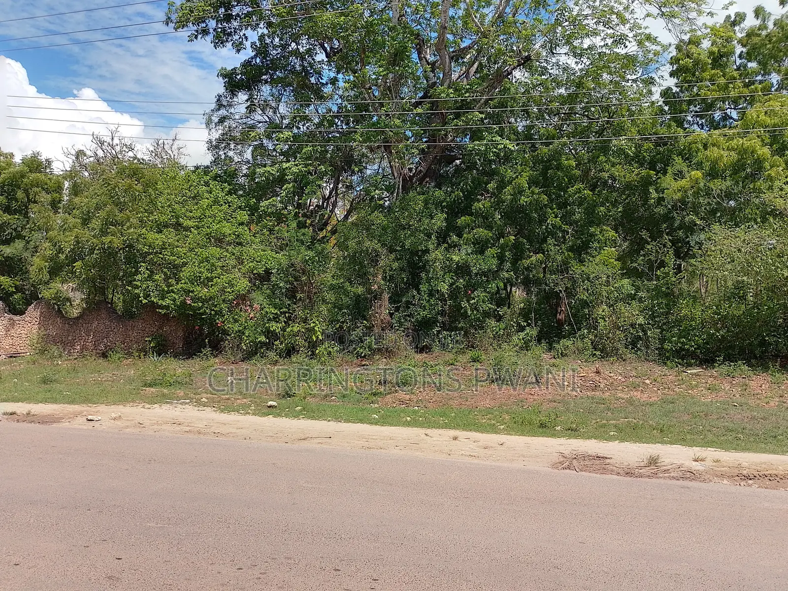 4 Acres | 2nd Row Diani Beach Road | Forest Cover | Hospitality Ideal
