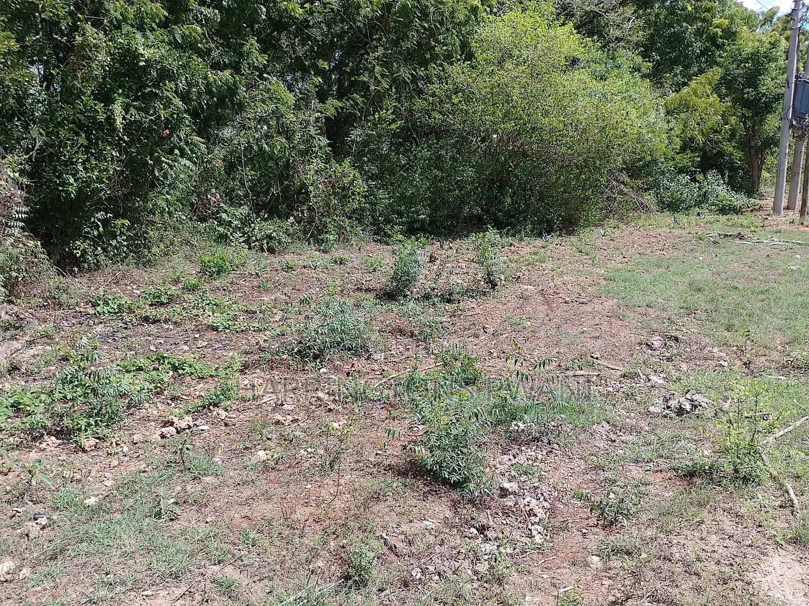 4 Acres | 2nd Row Diani Beach Road | Forest Cover | Hospitality Ideal