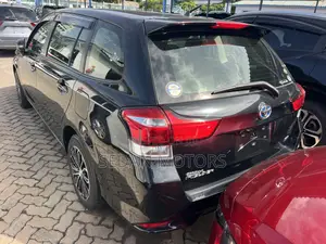 Toyota Corolla Fielder 2019 Matt Black