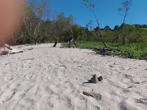 18 Acres Sandy Beachfront | Mangrove Frontage | Flat | Mwazaro Beach