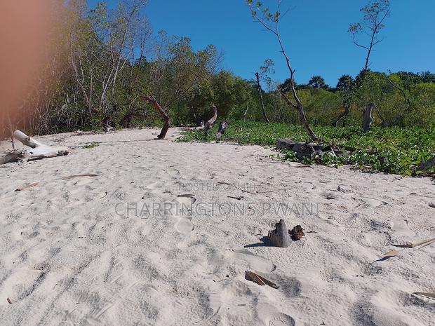 18 Acres Sandy Beachfront | Mangrove Frontage | Flat | Mwazaro Beach - main view