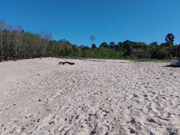 18 Acres Sandy Beachfront | Mangrove Frontage | Flat | Mwazaro Beach - thumbnail 2