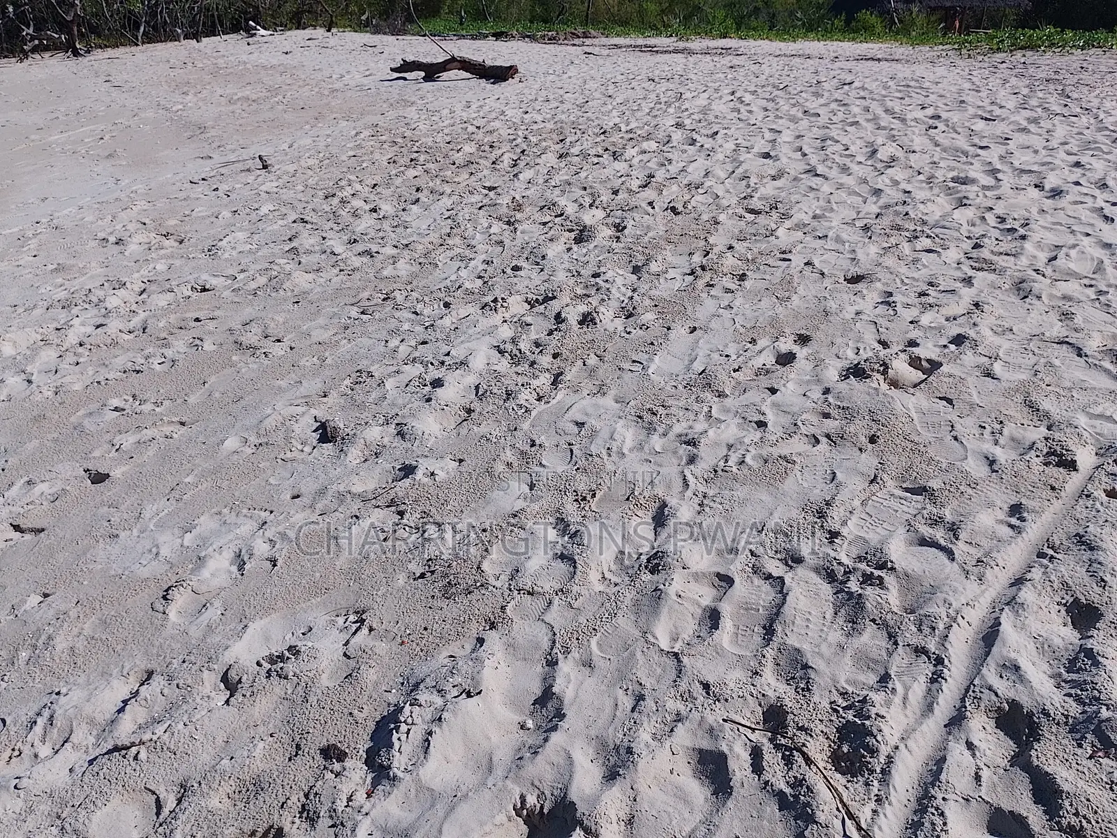18 Acres Sandy Beachfront | Mangrove Frontage | Flat | Mwazaro Beach