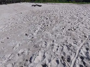 18 Acres Sandy Beachfront | Mangrove Frontage | Flat | Mwazaro Beach