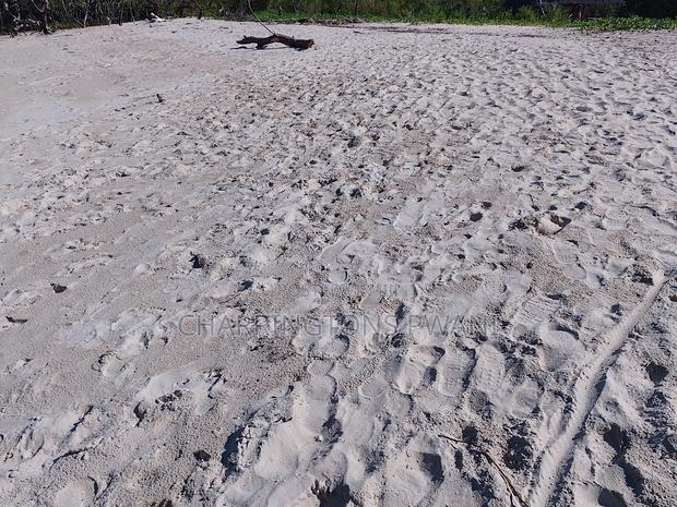 18 Acres Sandy Beachfront | Mangrove Frontage | Flat | Mwazaro Beach - thumbnail 3