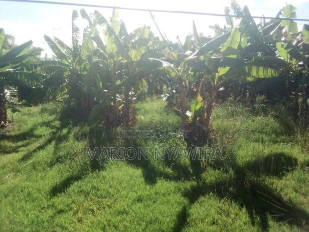 Plots for Sale - thumbnail 3