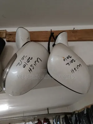 Toyota Wish 2010 Side Mirror