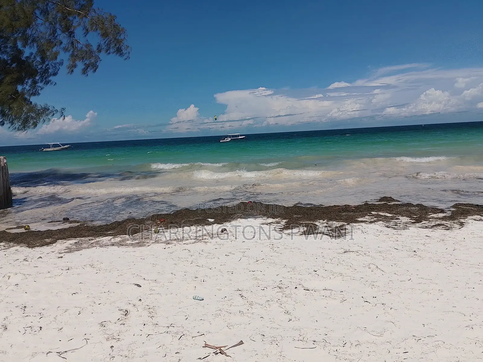 1 Acre Sandy Beachfront | Fenced Serviced | Galu Diani