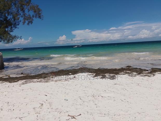 1 Acre Sandy Beachfront | Fenced Serviced | Galu Diani - thumbnail 7