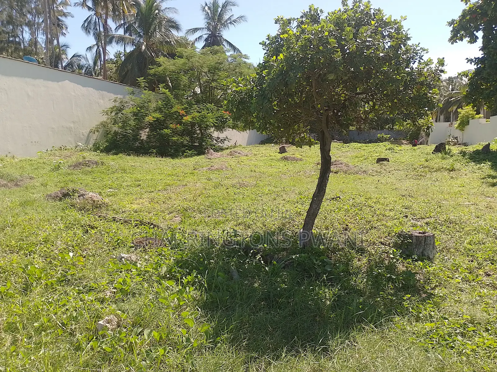 1 Acre Sandy Beachfront | Fenced Serviced | Galu Diani