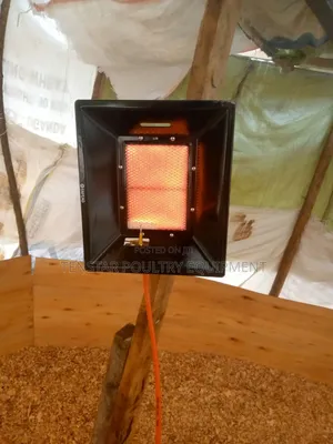 Gas Brooder