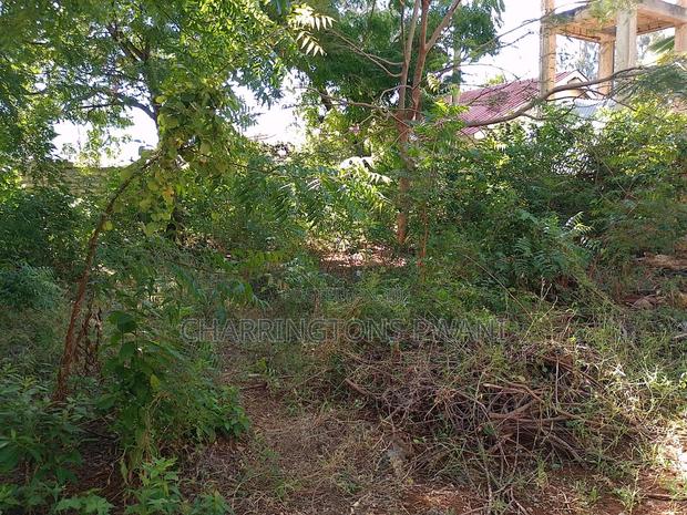 1⁄4 Acre Plot |Partial Perimeter Wall | Walk to Beach Airport - thumbnail 7