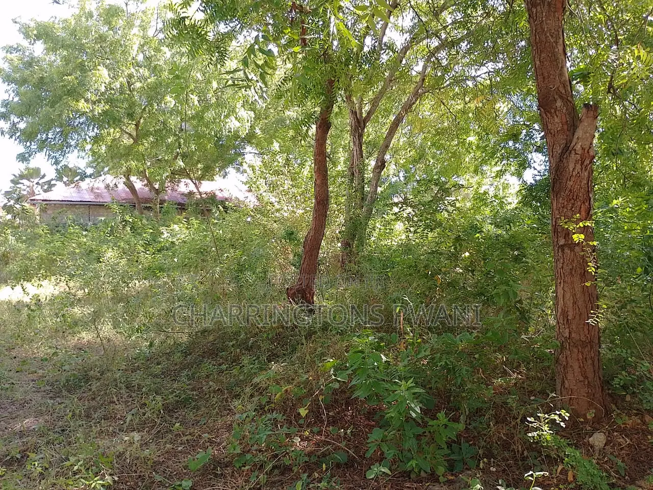 1⁄4 Acre Plot |Partial Perimeter Wall | Walk to Beach Airport