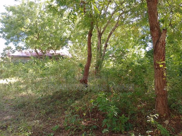 1⁄4 Acre Plot |Partial Perimeter Wall | Walk to Beach Airport - thumbnail 8