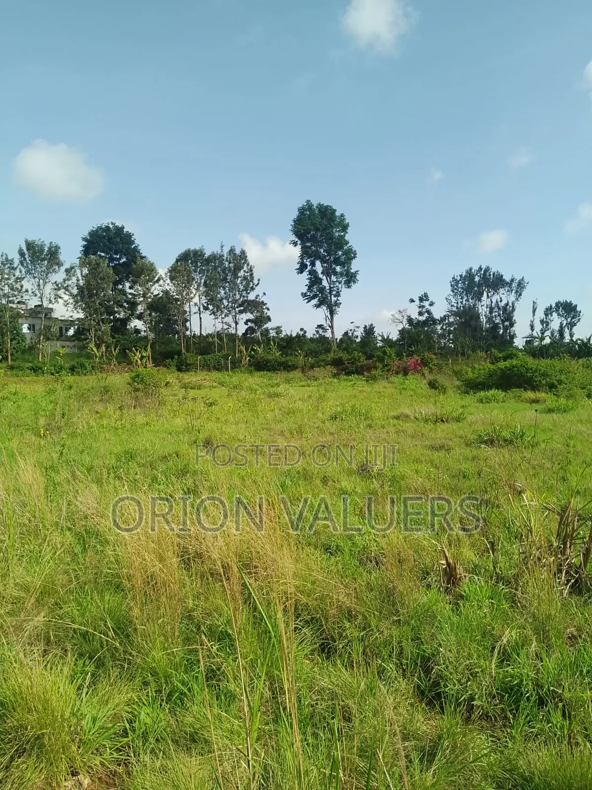 1/4 Plots for Sale Mugutha