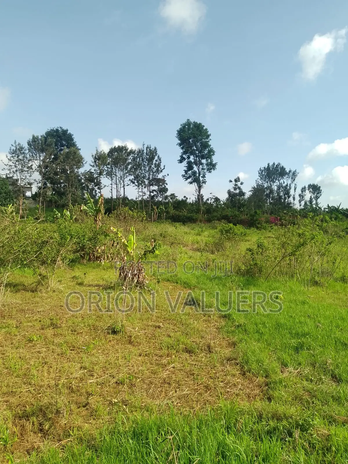 1/4 Plots for Sale Mugutha