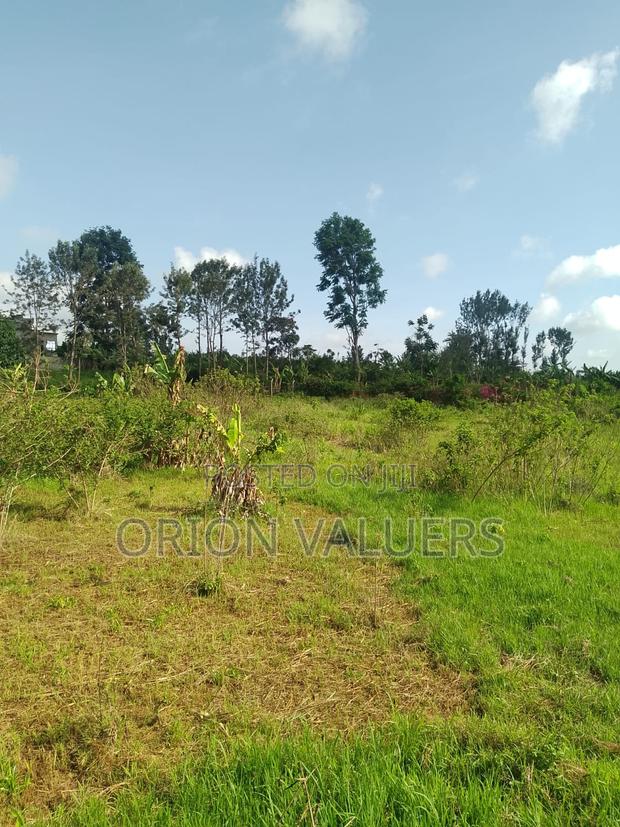 1/4 Plots for Sale Mugutha - thumbnail 2