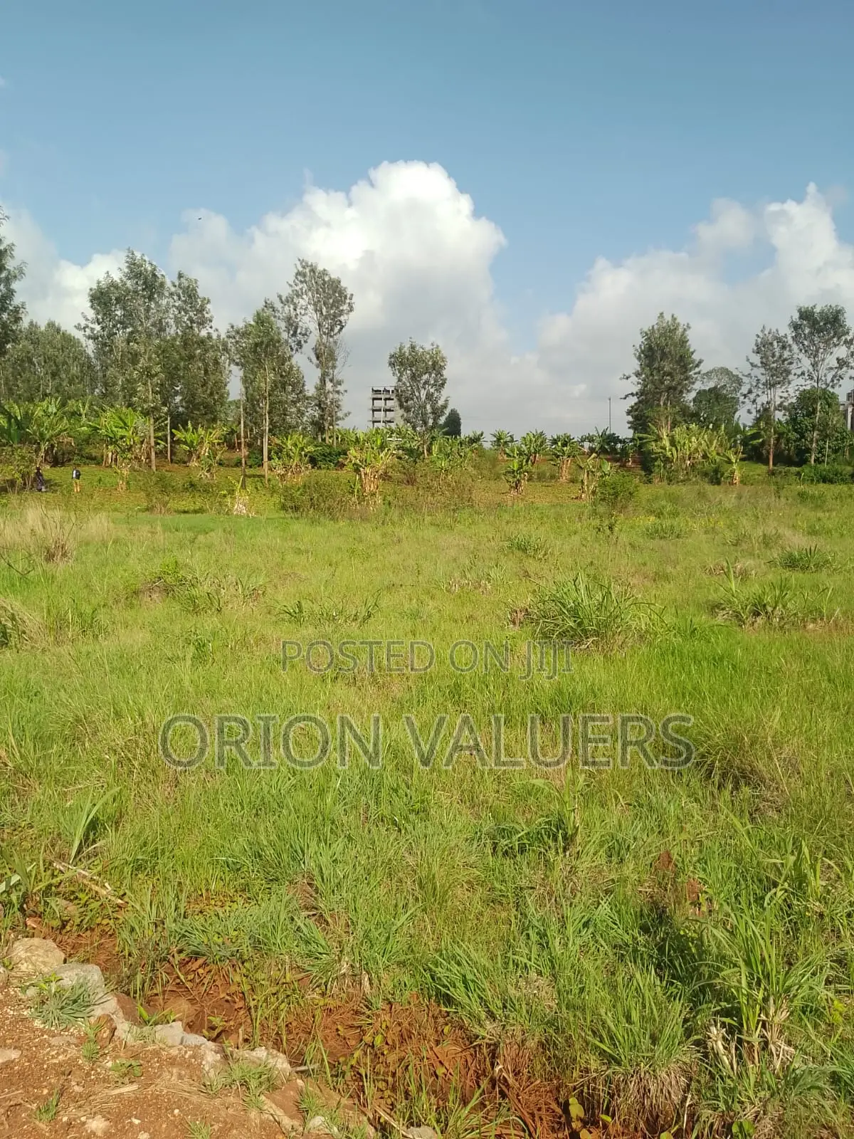 1/4 Plots for Sale Mugutha