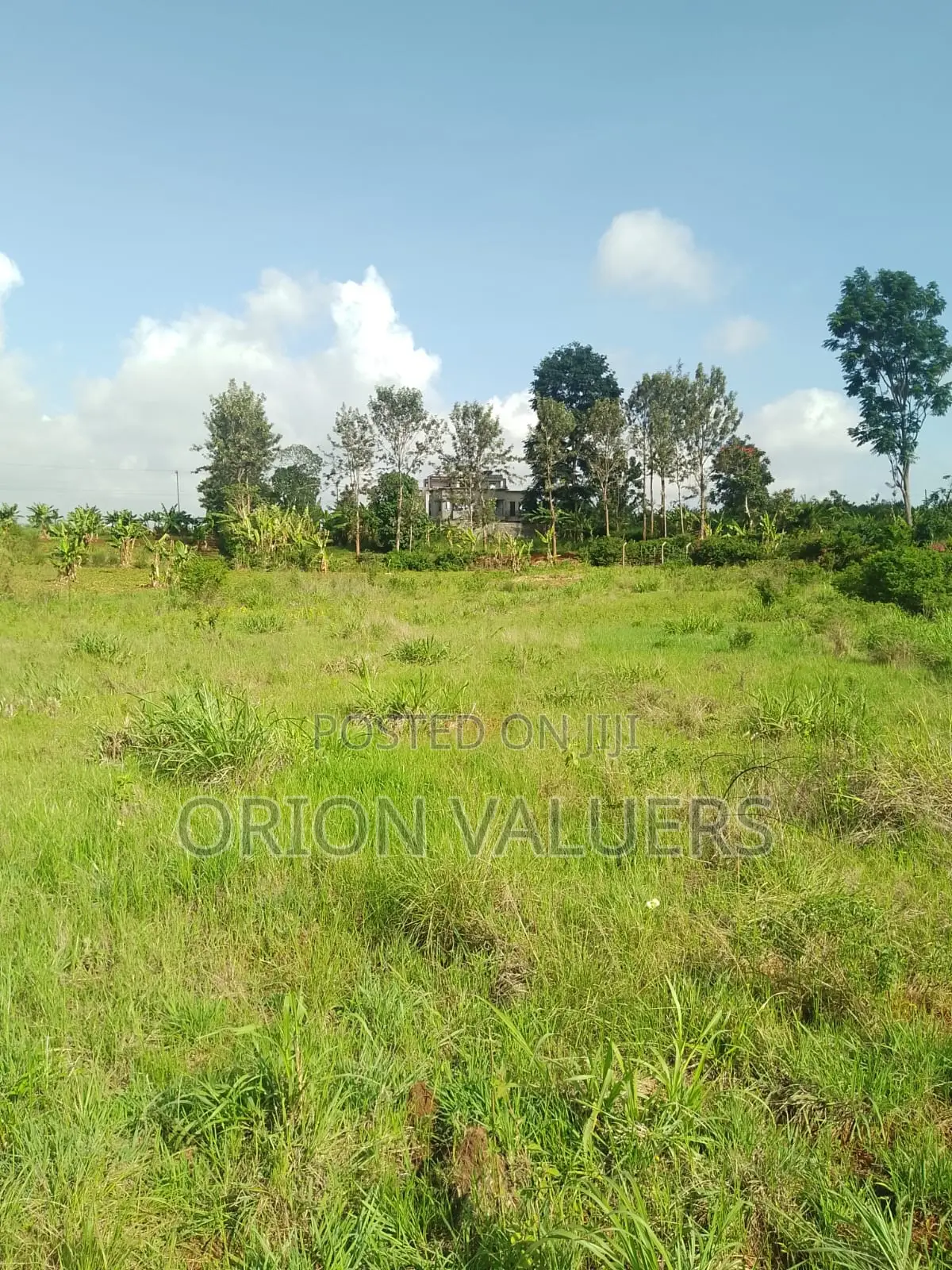 1/4 Plots for Sale Mugutha