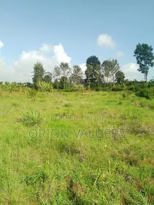1/4 Plots for Sale Mugutha