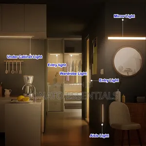 Motion Sensor Led Cabinet Light Usb Rechargeable Wardrobe Bar