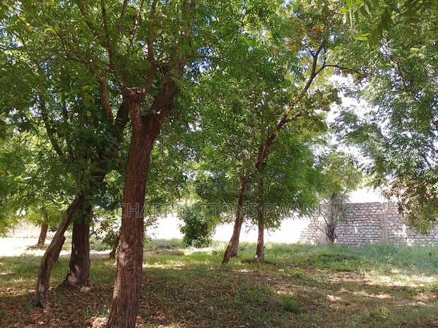 1⁄2 Acre Plot | 4th Row Diani | Private Well | Walk to Beach Airport - thumbnail 3