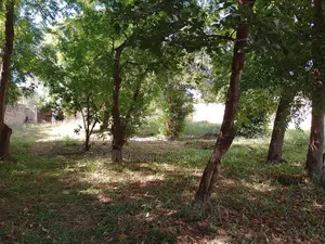 1⁄2 Acre Plot | 4th Row Diani | Private Well | Walk to Beach Airport