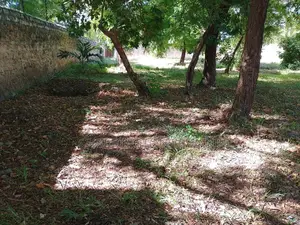 1⁄2 Acre Plot | 4th Row Diani | Private Well | Walk to Beach Airport