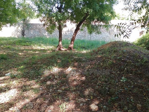 1⁄2 Acre Plot | 4th Row Diani | Private Well | Walk to Beach Airport - thumbnail 6
