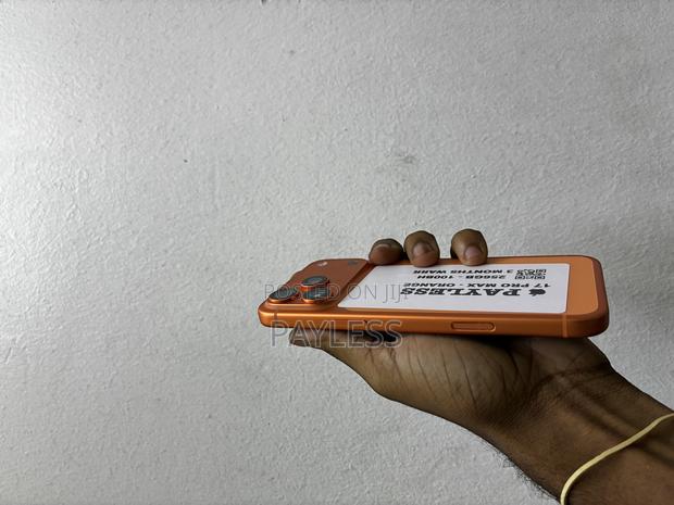 Apple iPhone 17 Pro Max 256 GB Orange - thumbnail 3