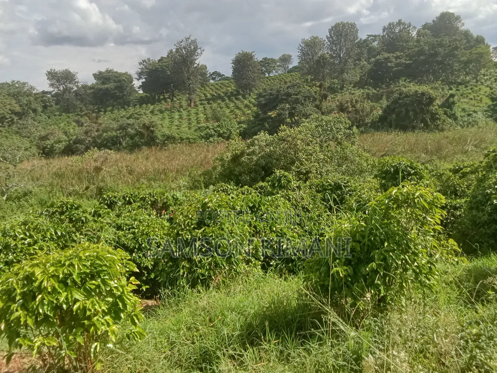 52acres Prime Land for Sale Kiambu County
