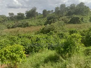 52acres Prime Land for Sale Kiambu County