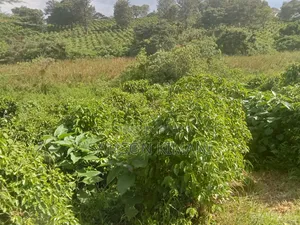 52acres Prime Land for Sale Kiambu County