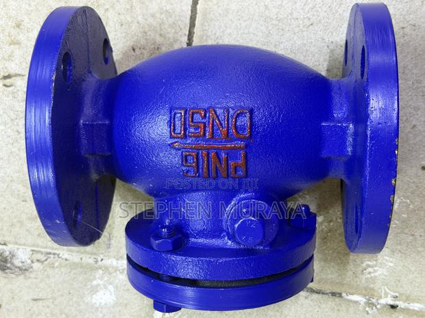 Flanged Non Return Valve 2”