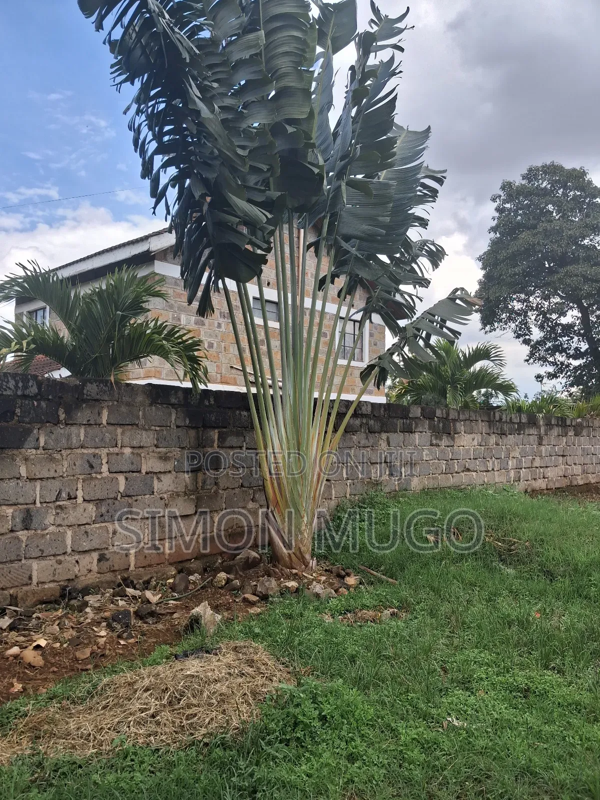 Thome Very Prime Residential 1/2 Ac Behind Safari Park Hotel