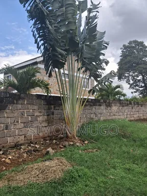 Thome Very Prime Residential 1/2 Ac Behind Safari Park Hotel
