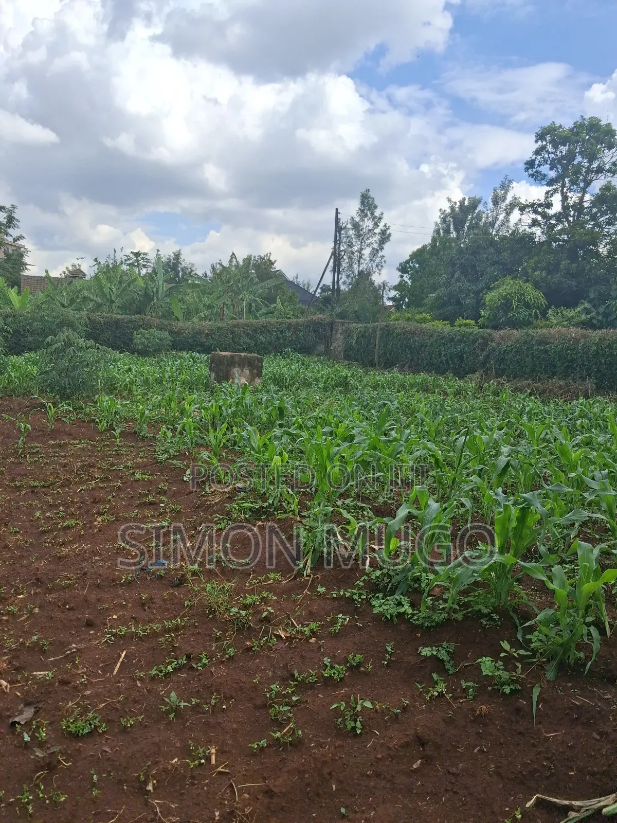 Thome Very Prime Residential 1/2 Ac Behind Safari Park Hotel