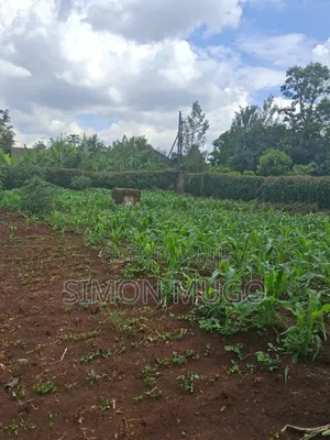 Thome Very Prime Residential 1/2 Ac Behind Safari Park Hotel