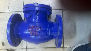 Flanged Non Return Valve 4”